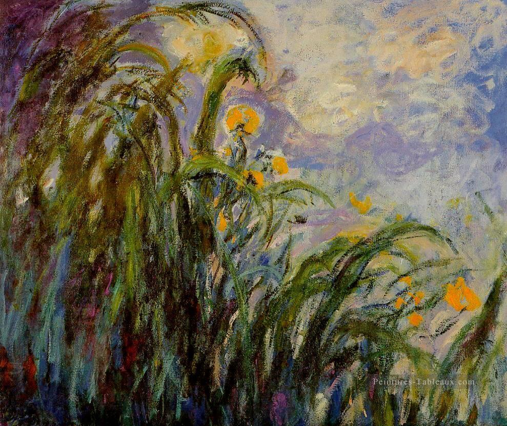 Iris Jaune Claude Monet Peintures à l'huile
